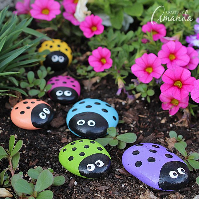 ladybird stones