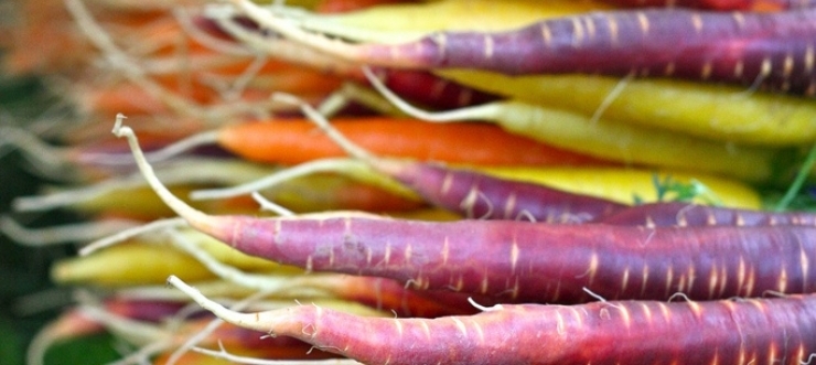 organic fruit and veg ireland