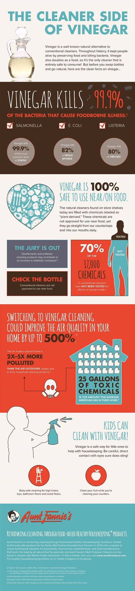 natural cleaning infographic