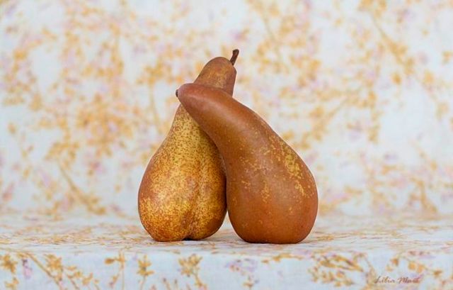 Lilia Siedel Hugging Pears