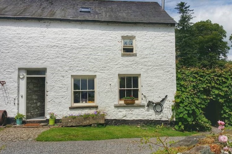 Lakeview Organic Farm