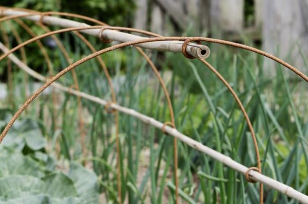 Plant Belles Cloche Hoops