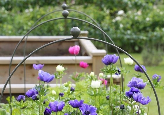 Somerset Cloche Hoops from Agriframes