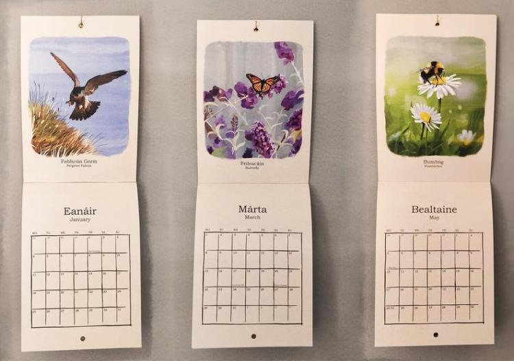 Irish Wildlife 2021 Calendar