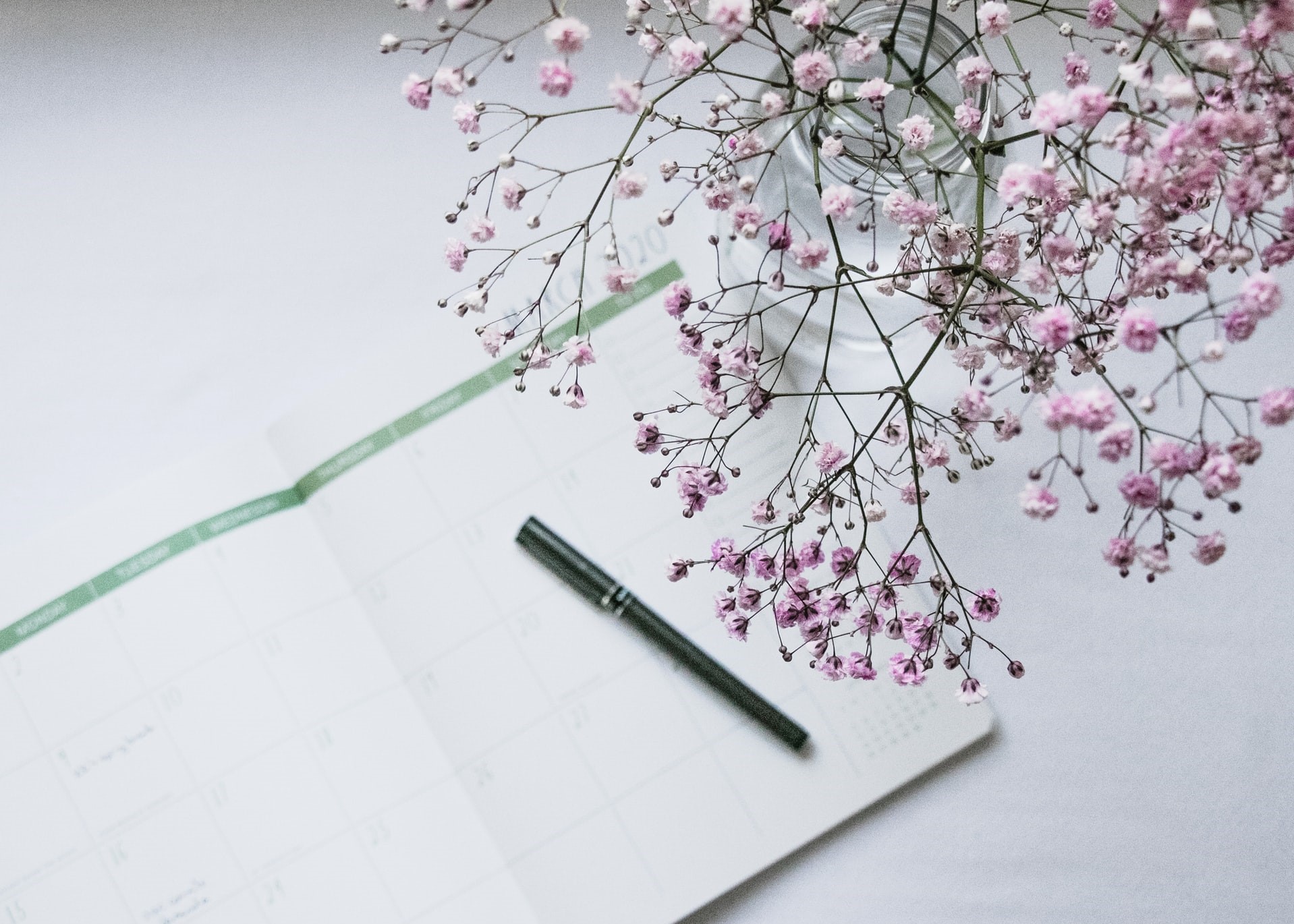 sustainable living blog