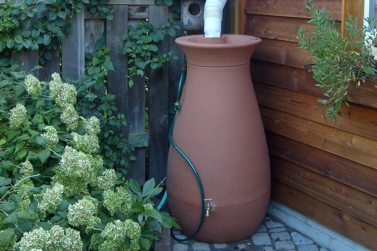 terracotta rainwater butt