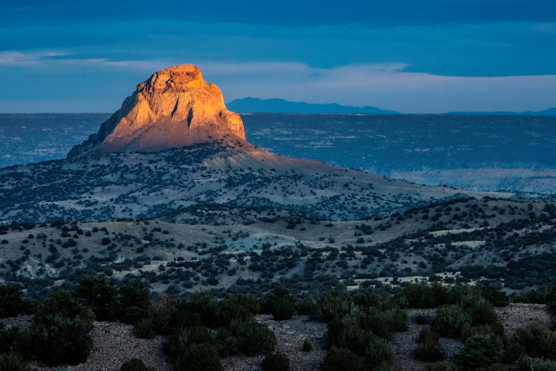 Wildlife Park in New Mexico