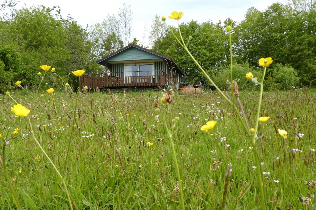 Eco accommodation in Devon